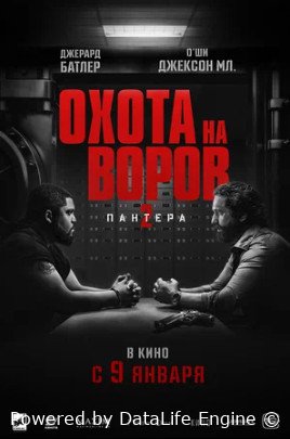 Охота на воров 2: Пантера (2025)