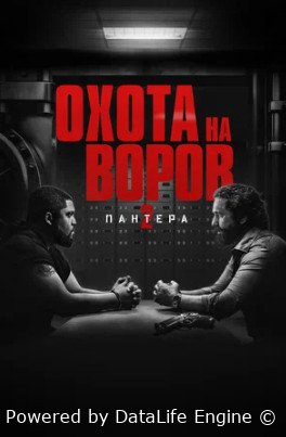 Охота на воров 2: Пантера (2025)