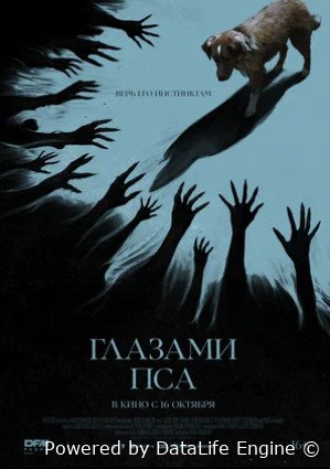 Глазами пса (2025)