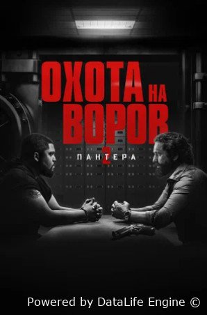 Охота на воров 2: Пантера (2025)