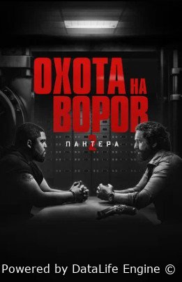 Охота на воров 2: Пантера (2025)